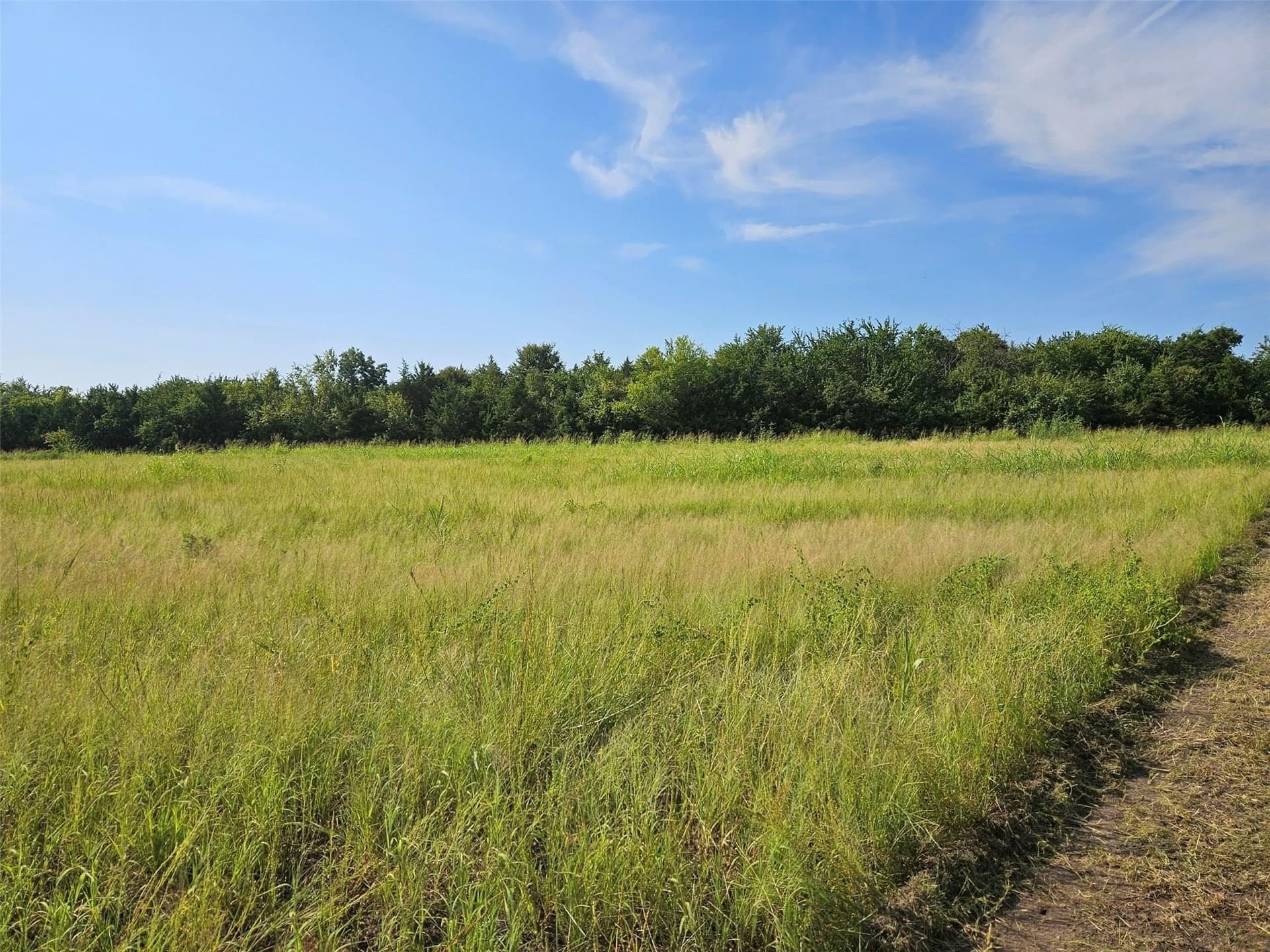 10.1 acres in Lamar County - photo 8