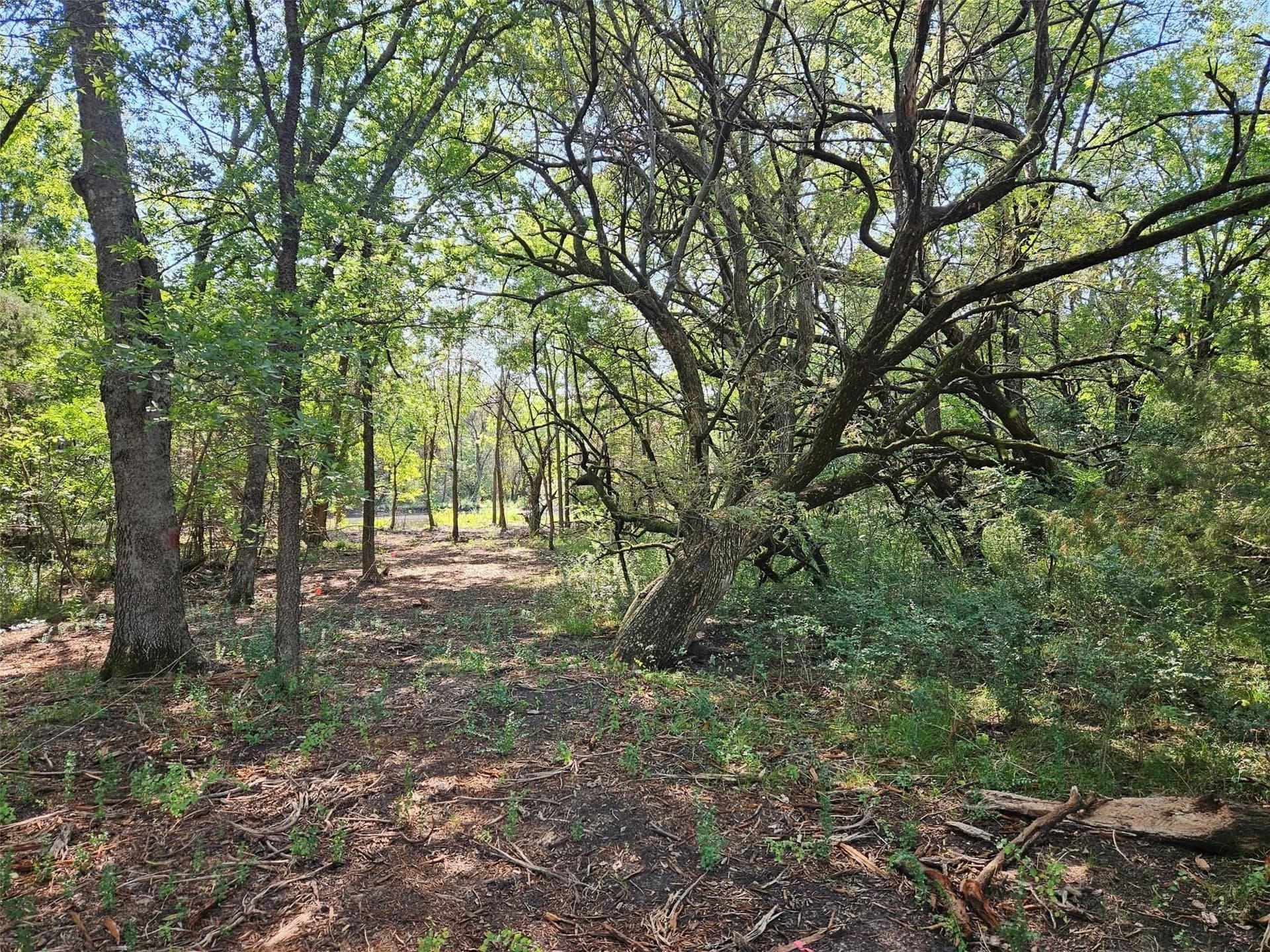10.1 acres in Lamar County - photo 15