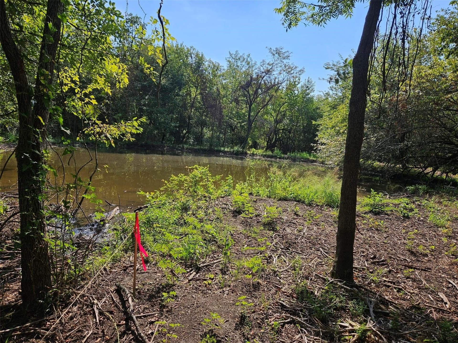 10.1 acres in Lamar County - photo 21