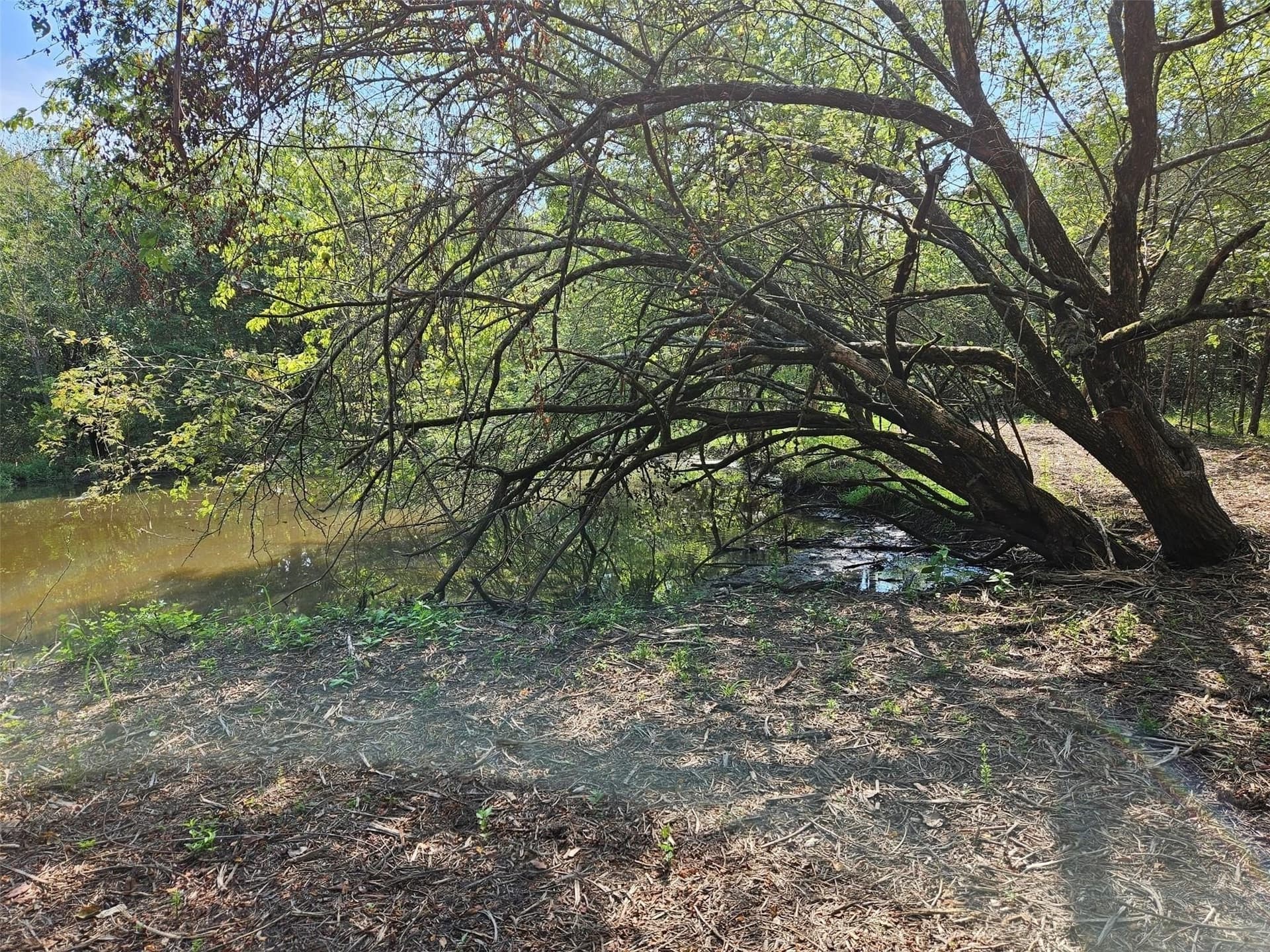 10.1 acres in Lamar County - photo 19