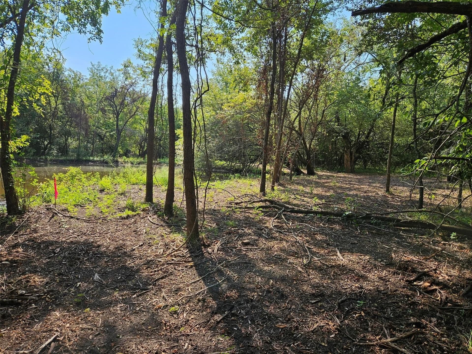 10.1 acres in Lamar County - photo 22