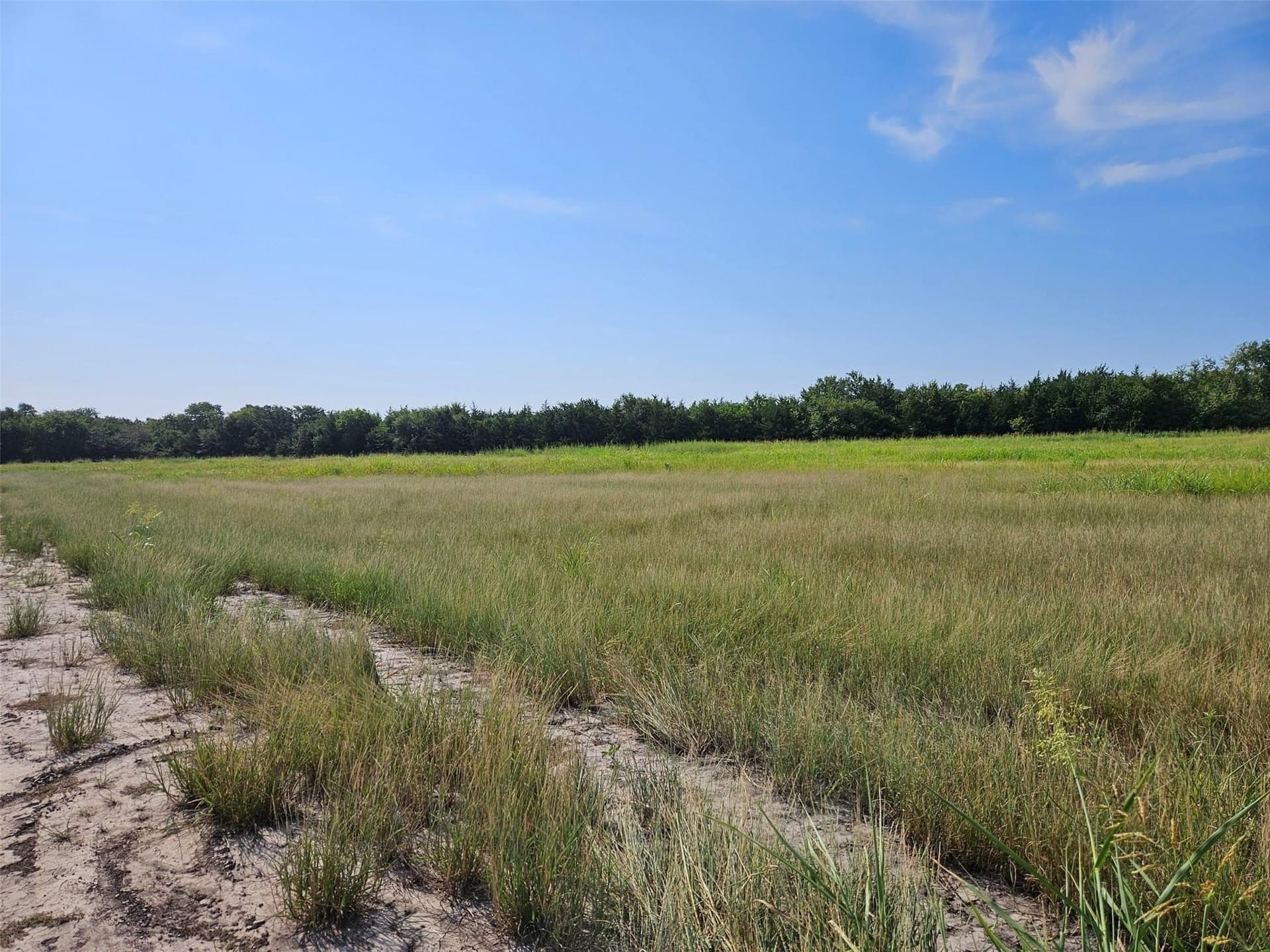 10.1 acres in Lamar County - photo 9