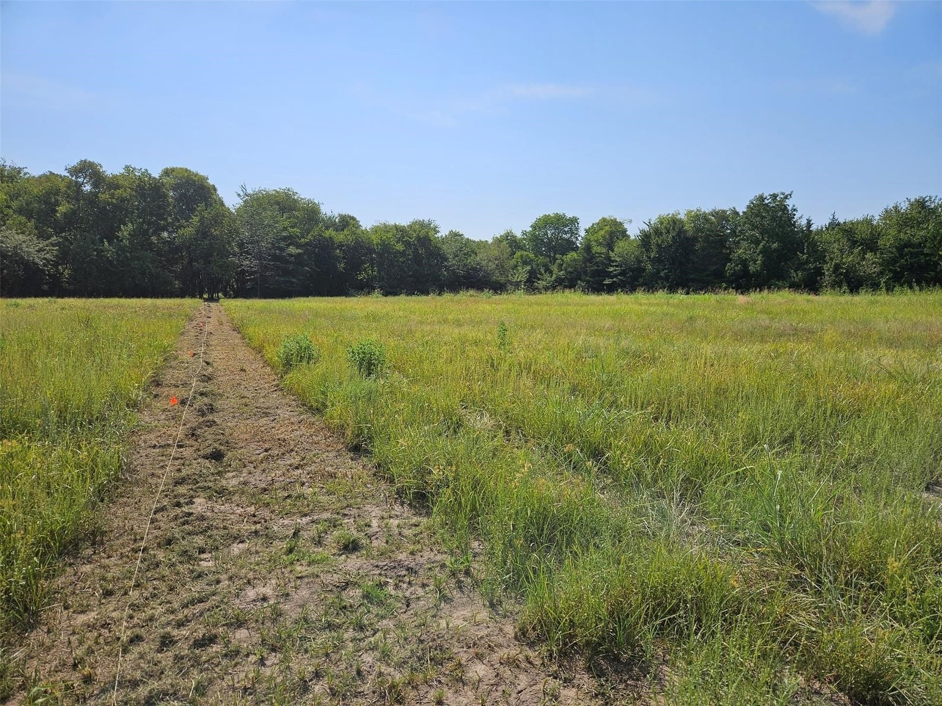 10.1 acres in Lamar County - photo 11