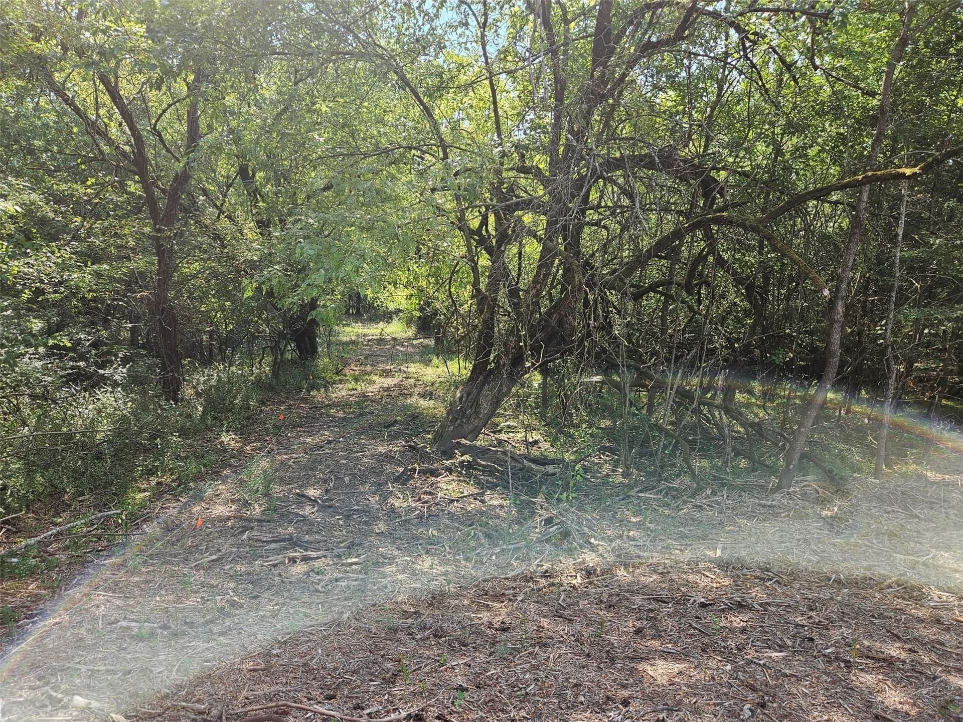 10.1 acres in Lamar County - photo 17