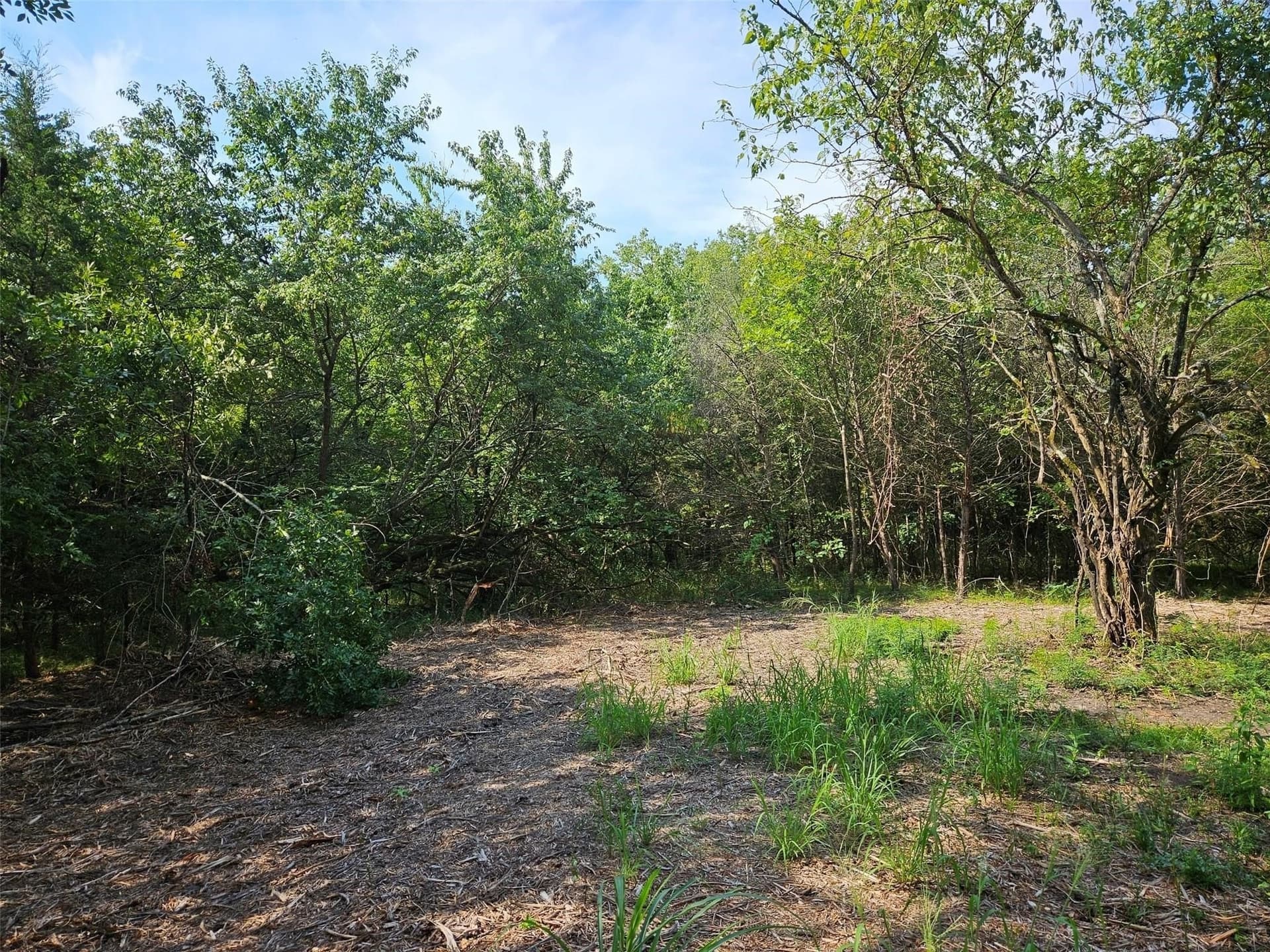 10.1 acres in Lamar County - photo 16
