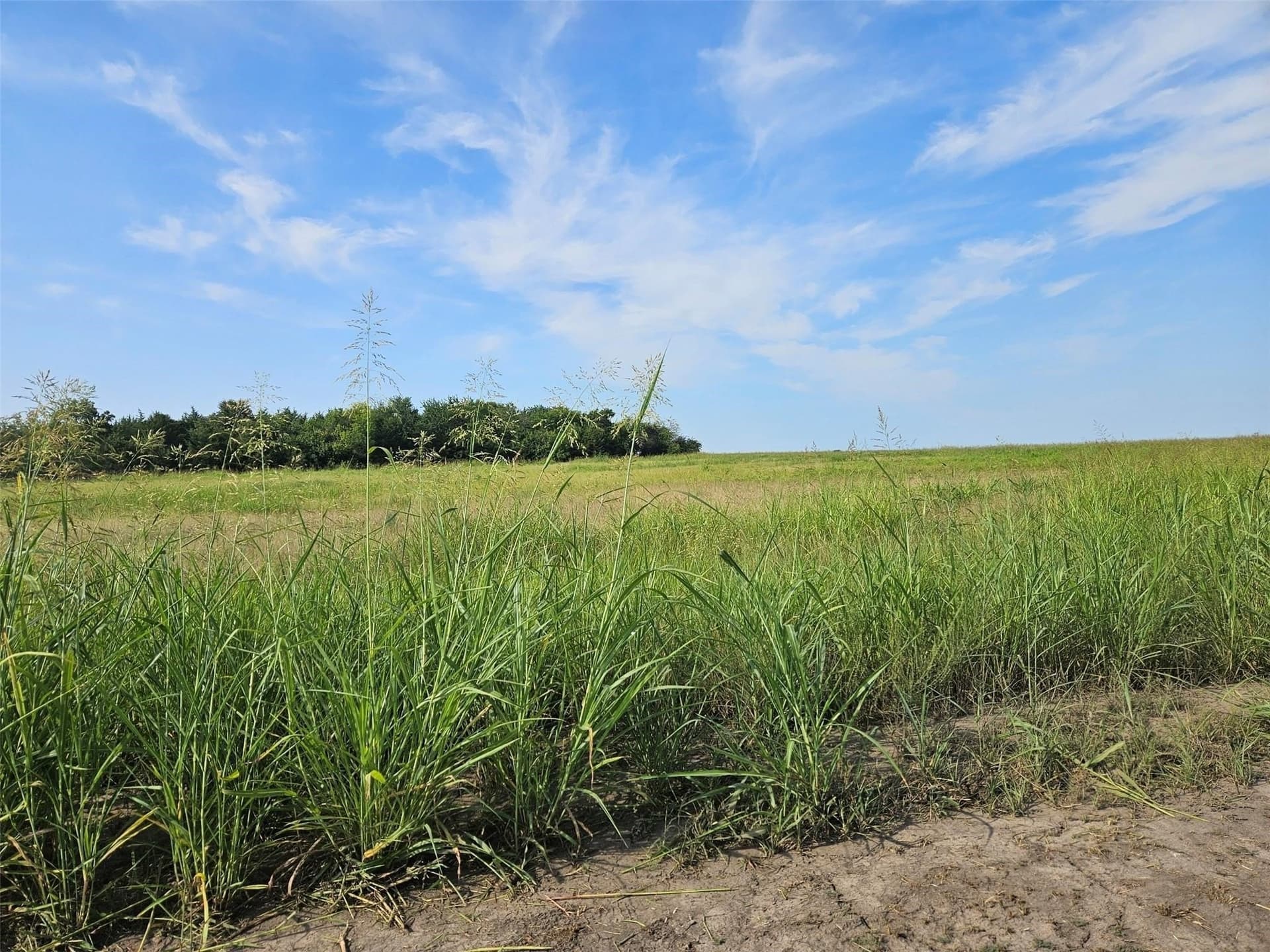 10.1 acres in Lamar County - photo 6