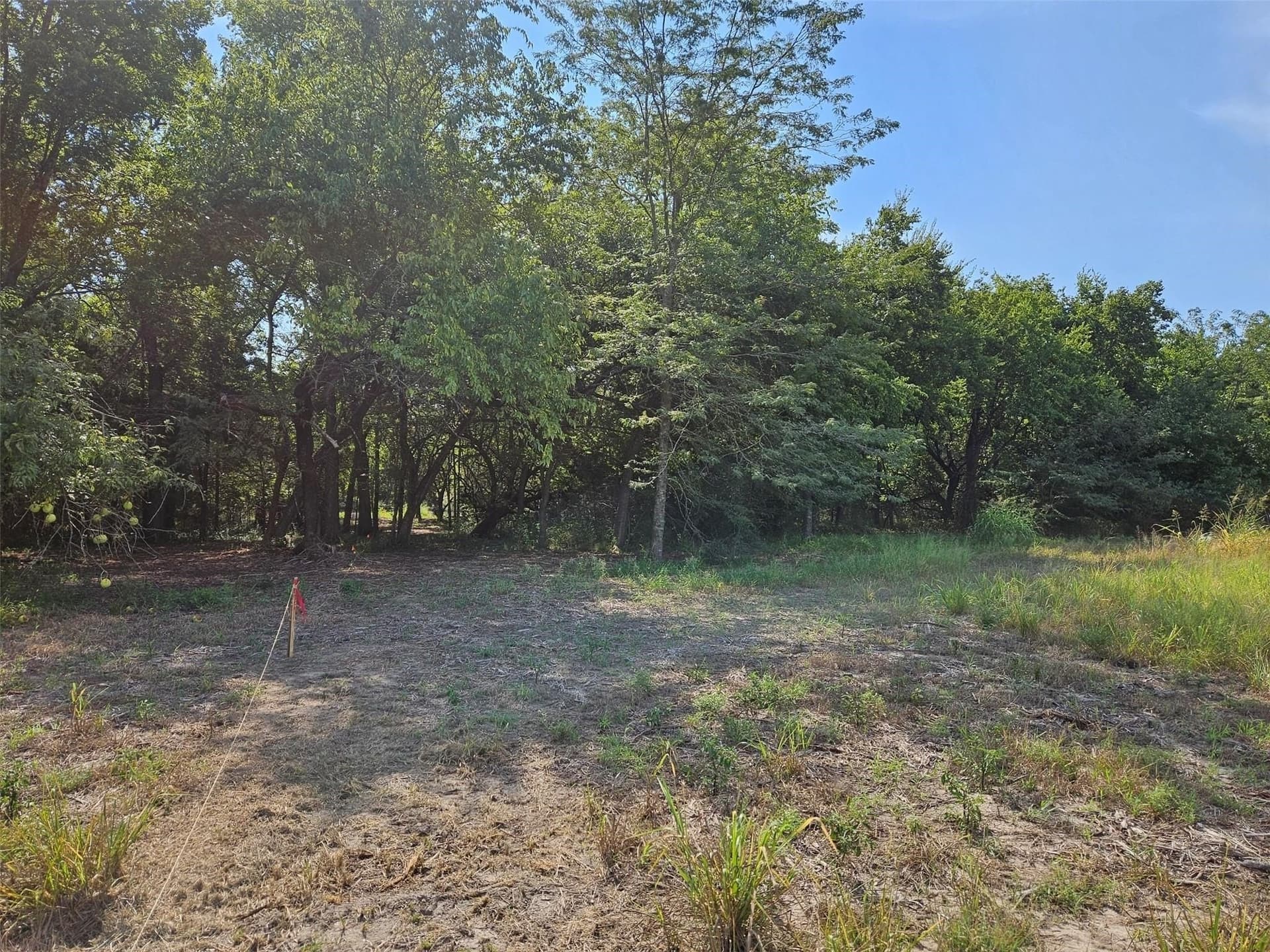 10.1 acres in Lamar County - photo 14