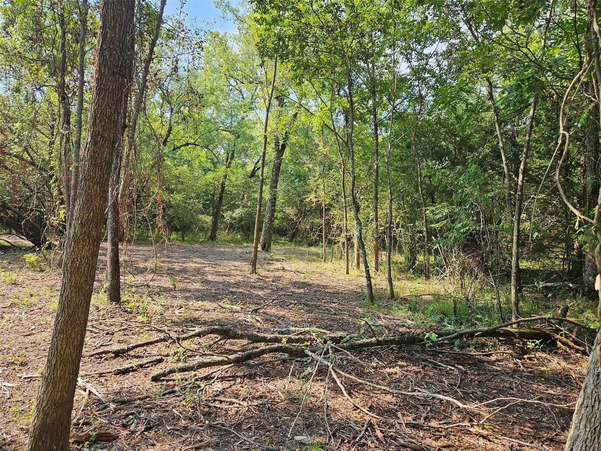 10.1 acres in Lamar County - photo 20