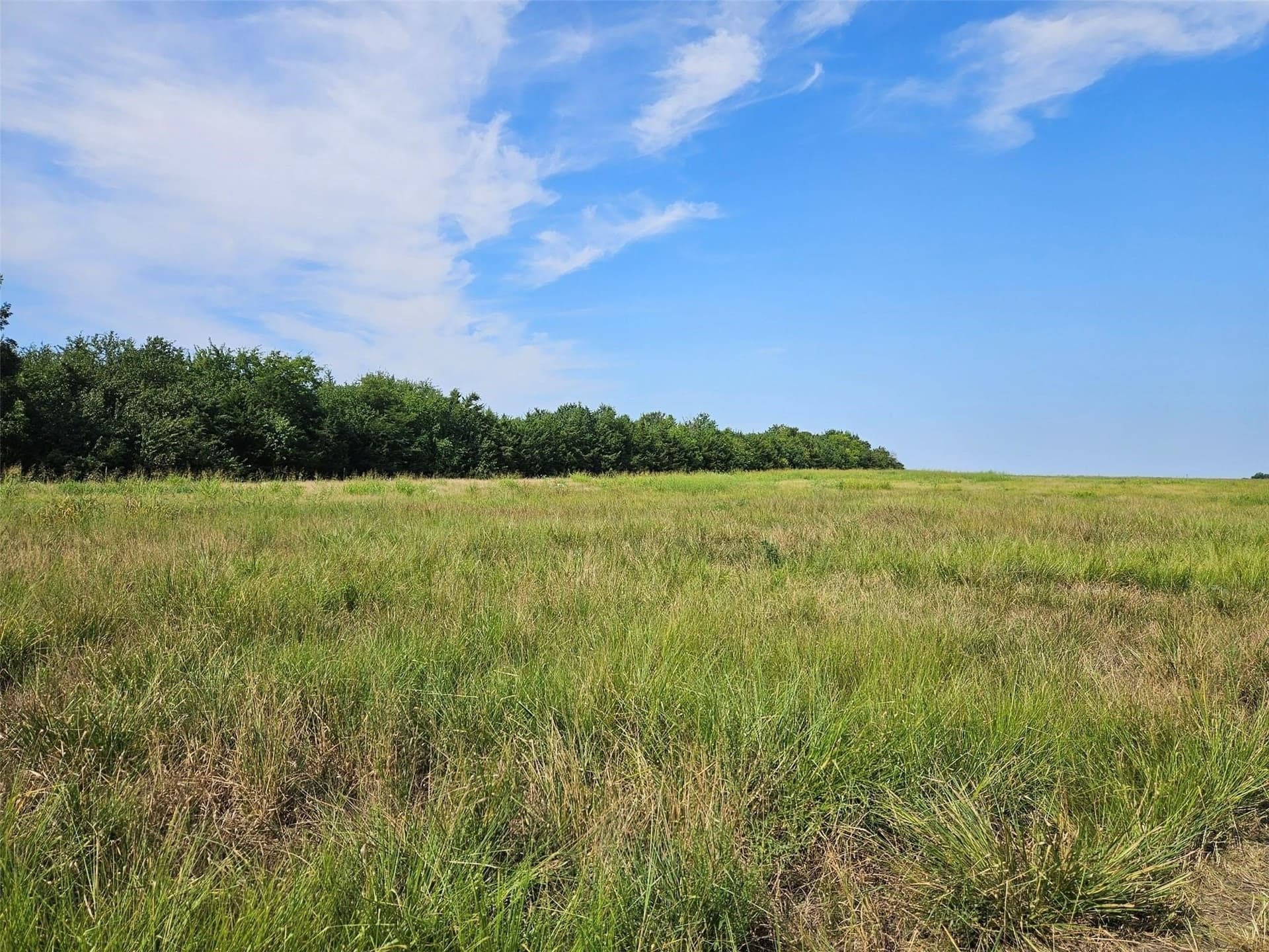 10.1 acres in Lamar County - photo 13