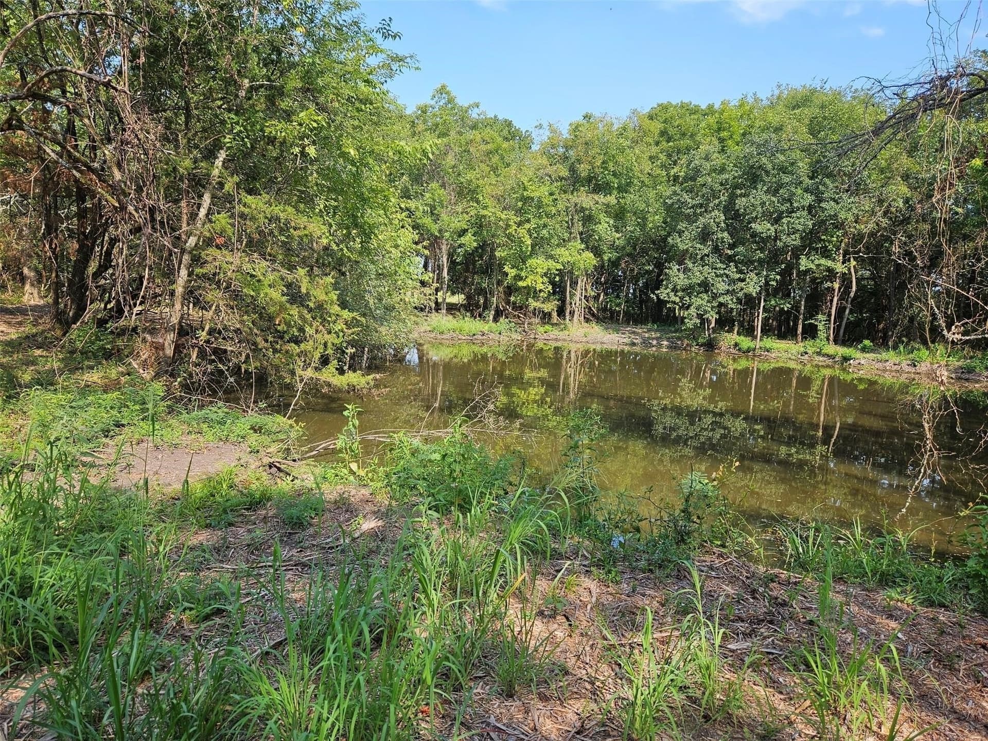 10.1 acres in Lamar County - photo 18