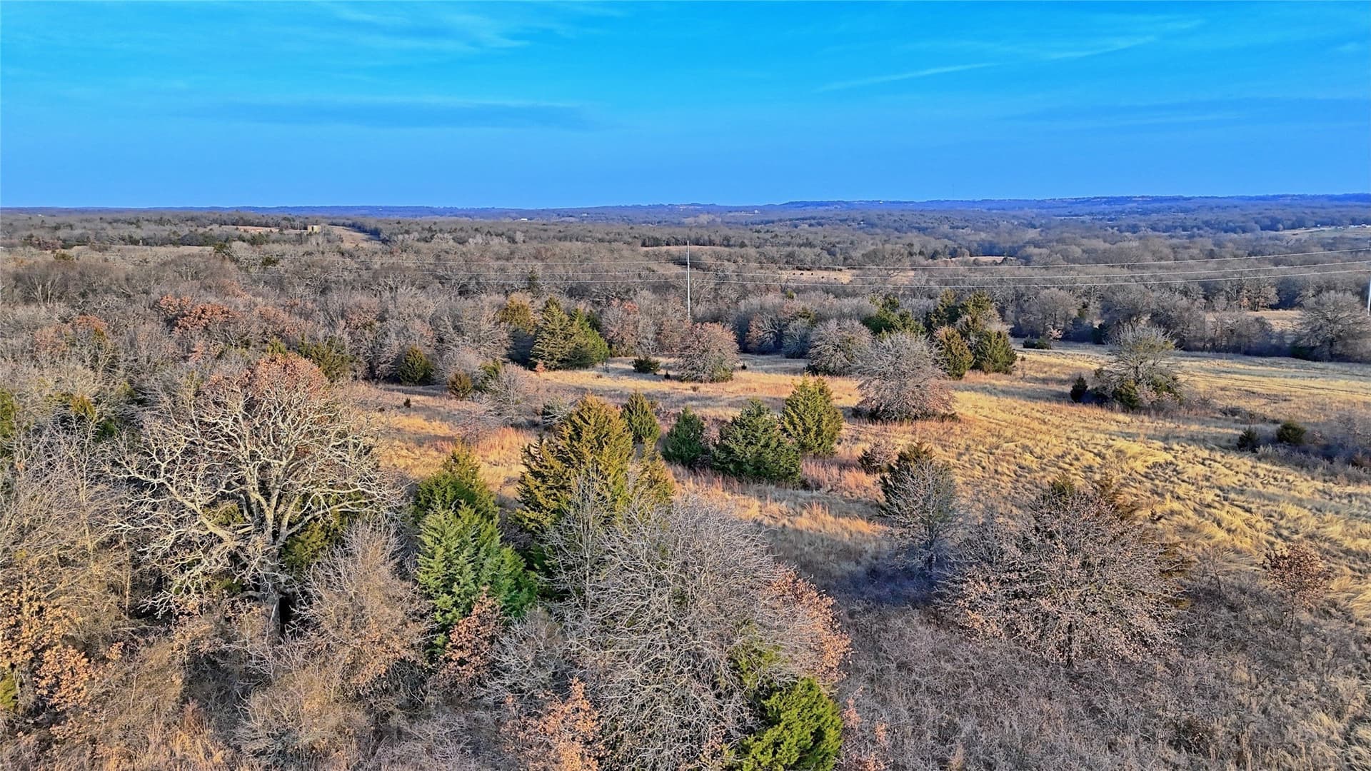 33.81 acres in Montague County - photo 2