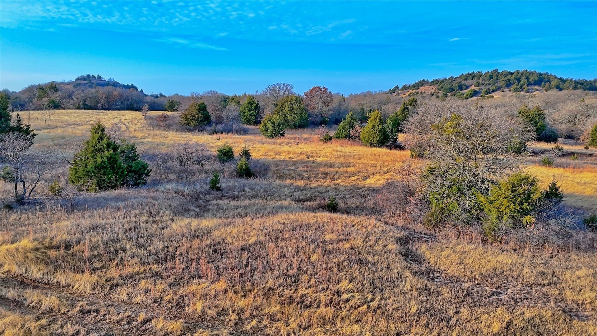 33.81 acres in Montague County - photo 7
