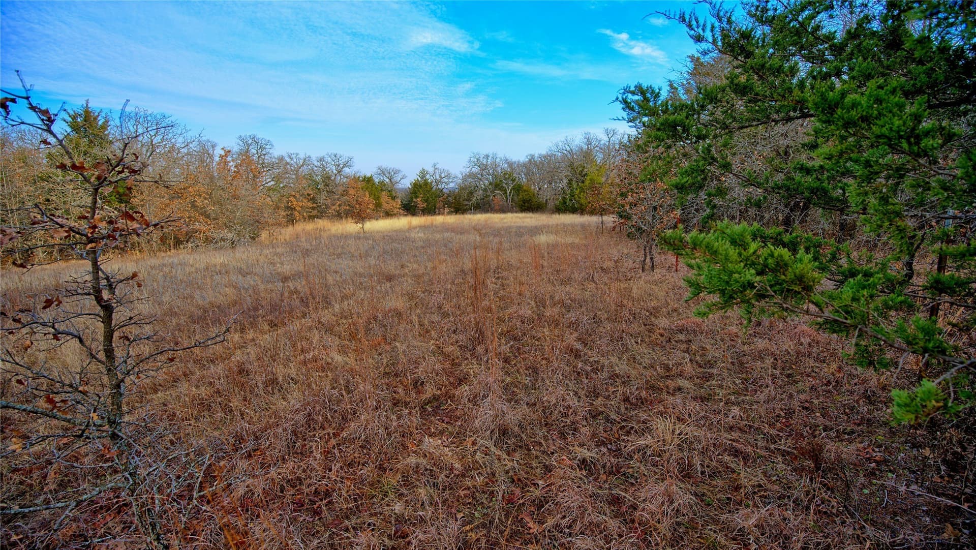33.81 acres in Montague County - photo 13