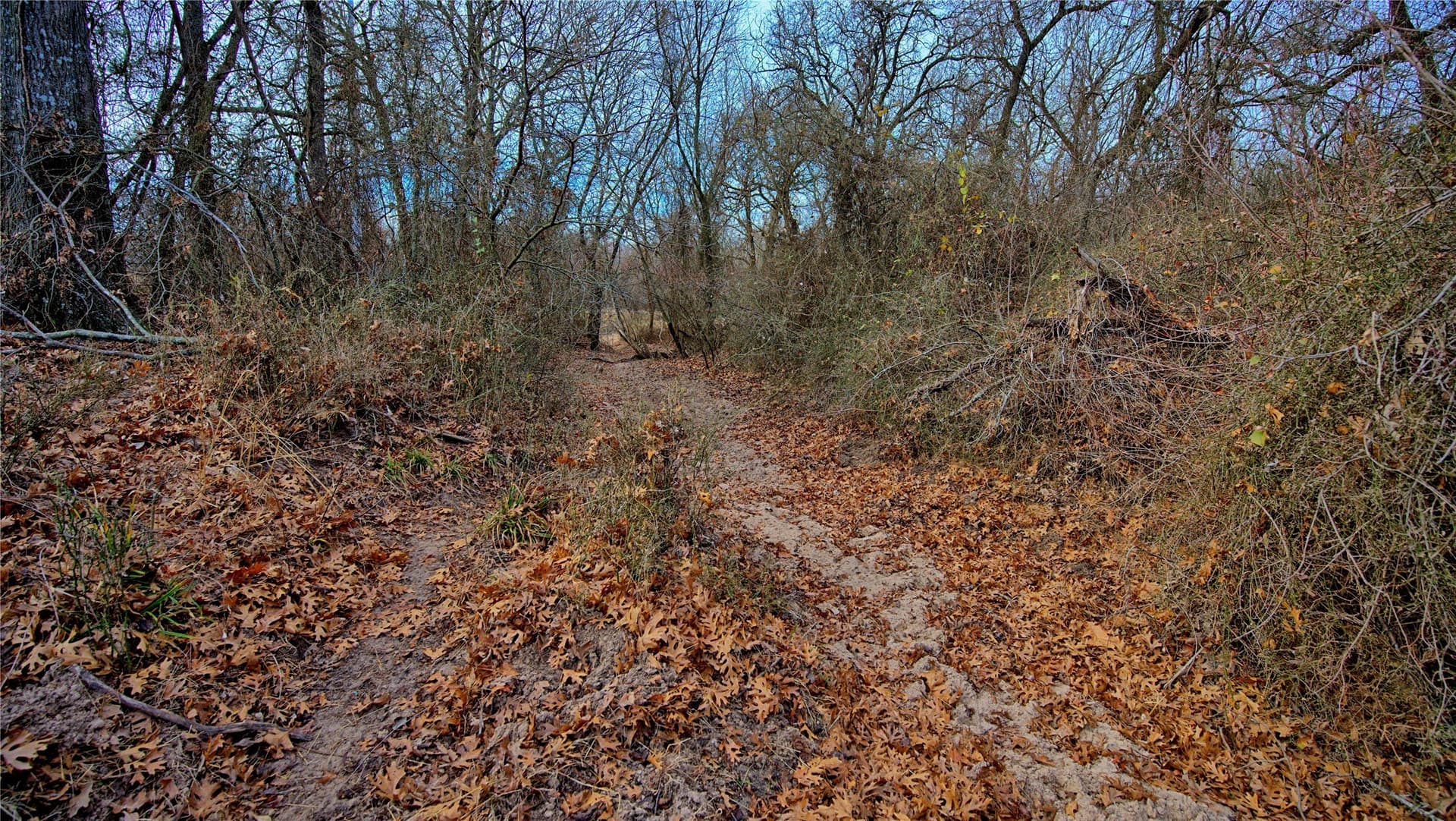 33.81 acres in Montague County - photo 5