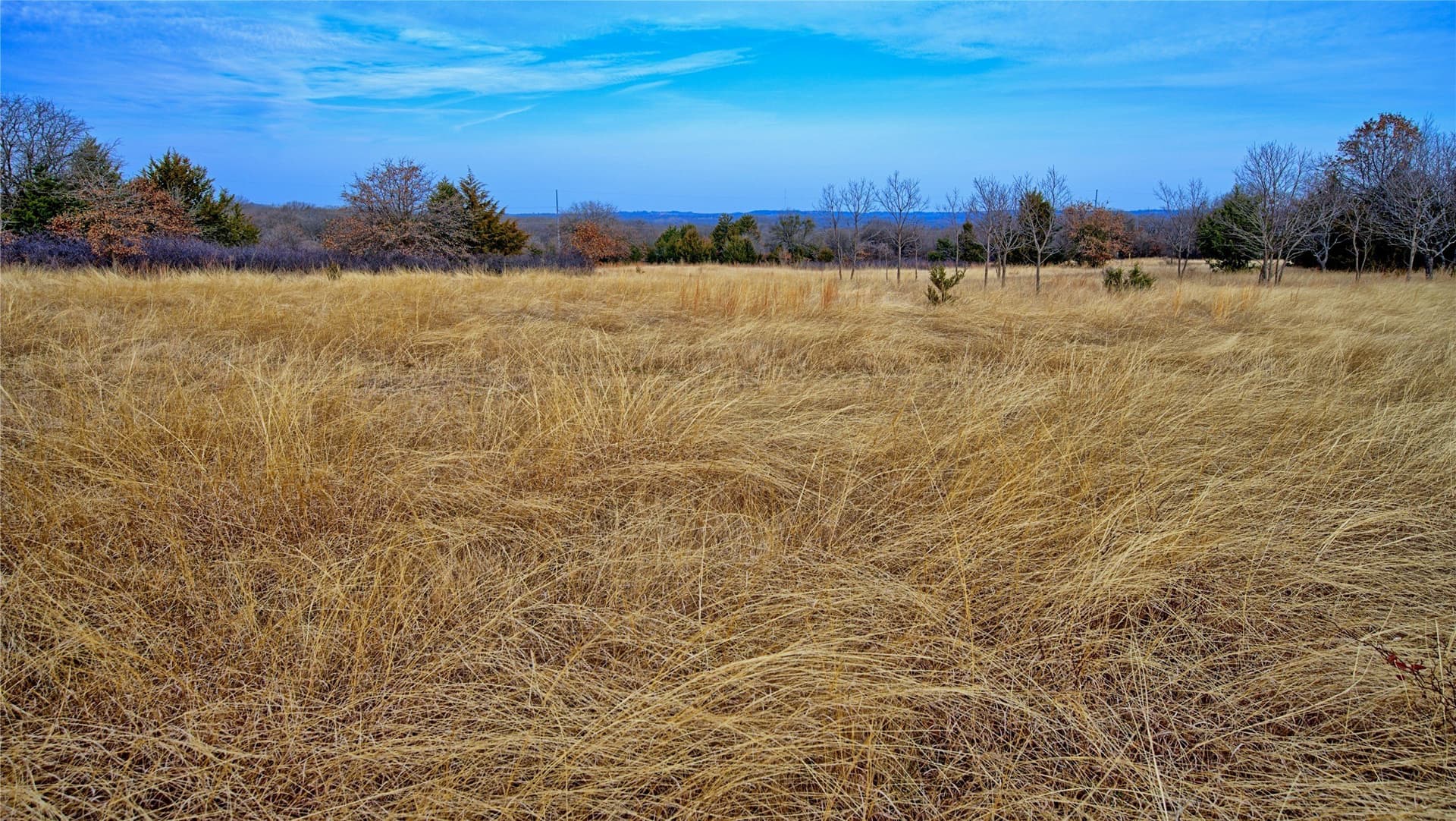 33.81 acres in Montague County - photo 10