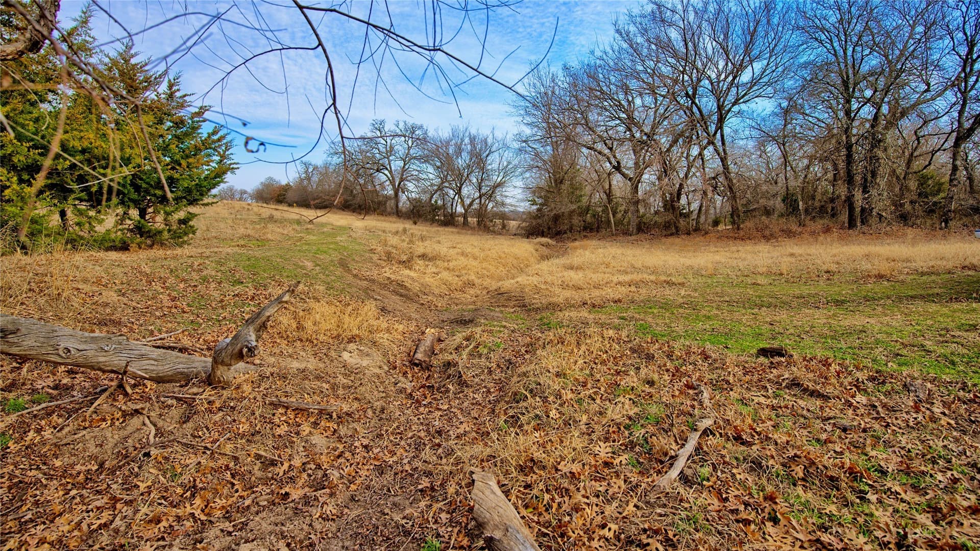 33.81 acres in Montague County - photo 11