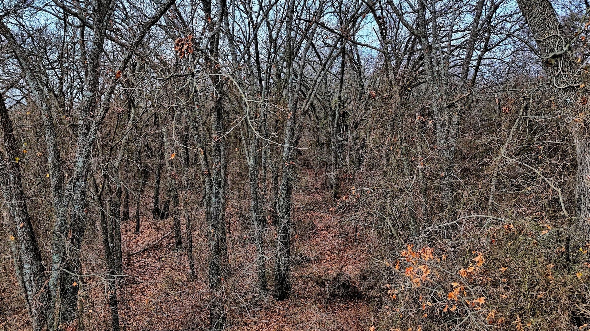 33.81 acres in Montague County - photo 12