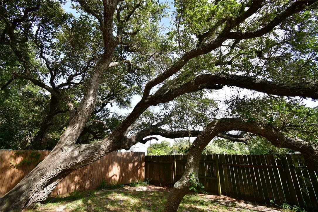 0.28 acres in Aransas County gallery image 2