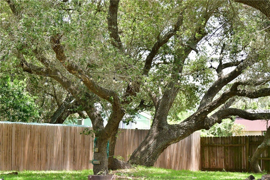0.28 acres in Aransas County - photo 10