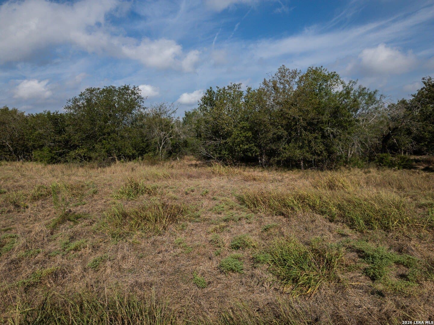 20.83 acres in Guadalupe County - photo 17