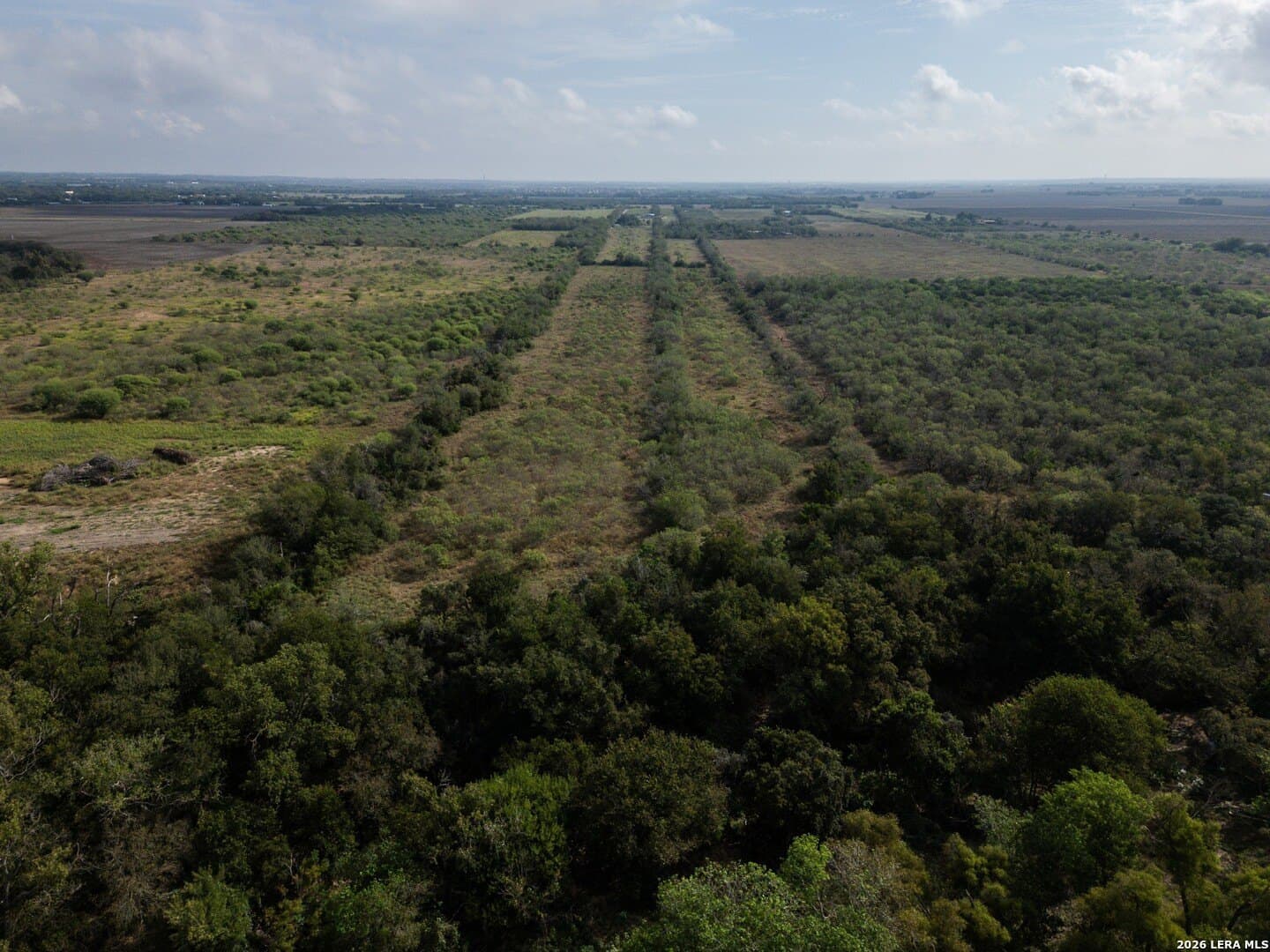 20.83 acres in Guadalupe County - photo 6