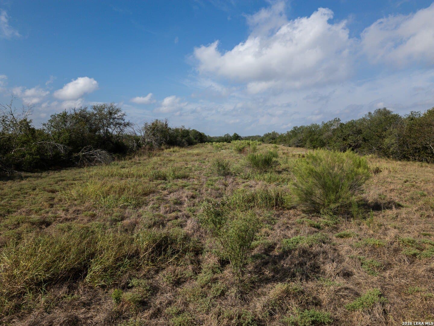 20.83 acres in Guadalupe County - photo 15