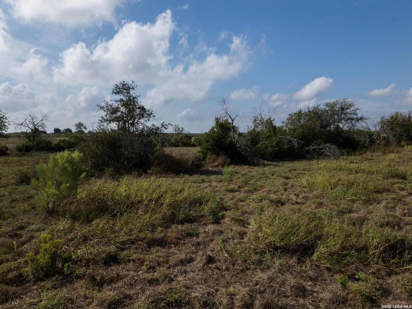 20.83 acres in Guadalupe County - photo 16