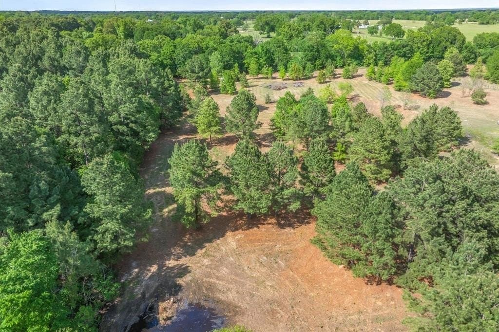 7.64 acres in Wood County gallery image 4