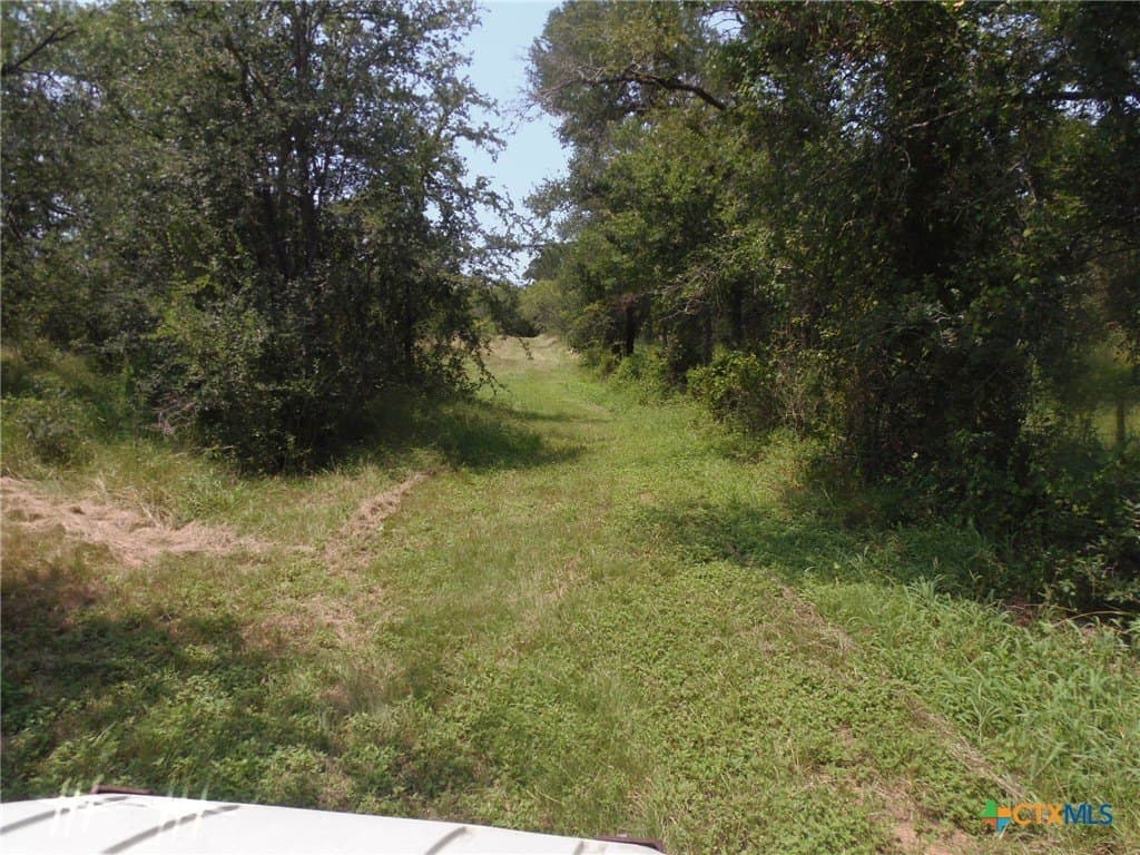 16 acres in Caldwell County - photo 7