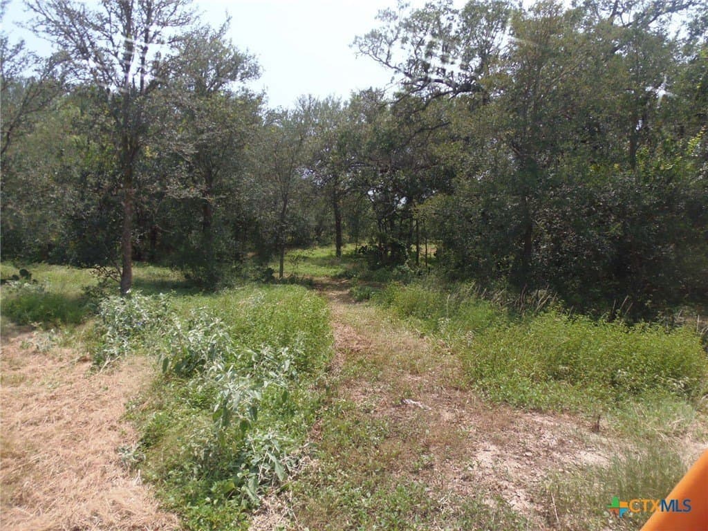 16 acres in Caldwell County - photo 6