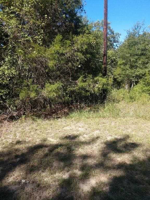 0.35 acres in Henderson County featured view