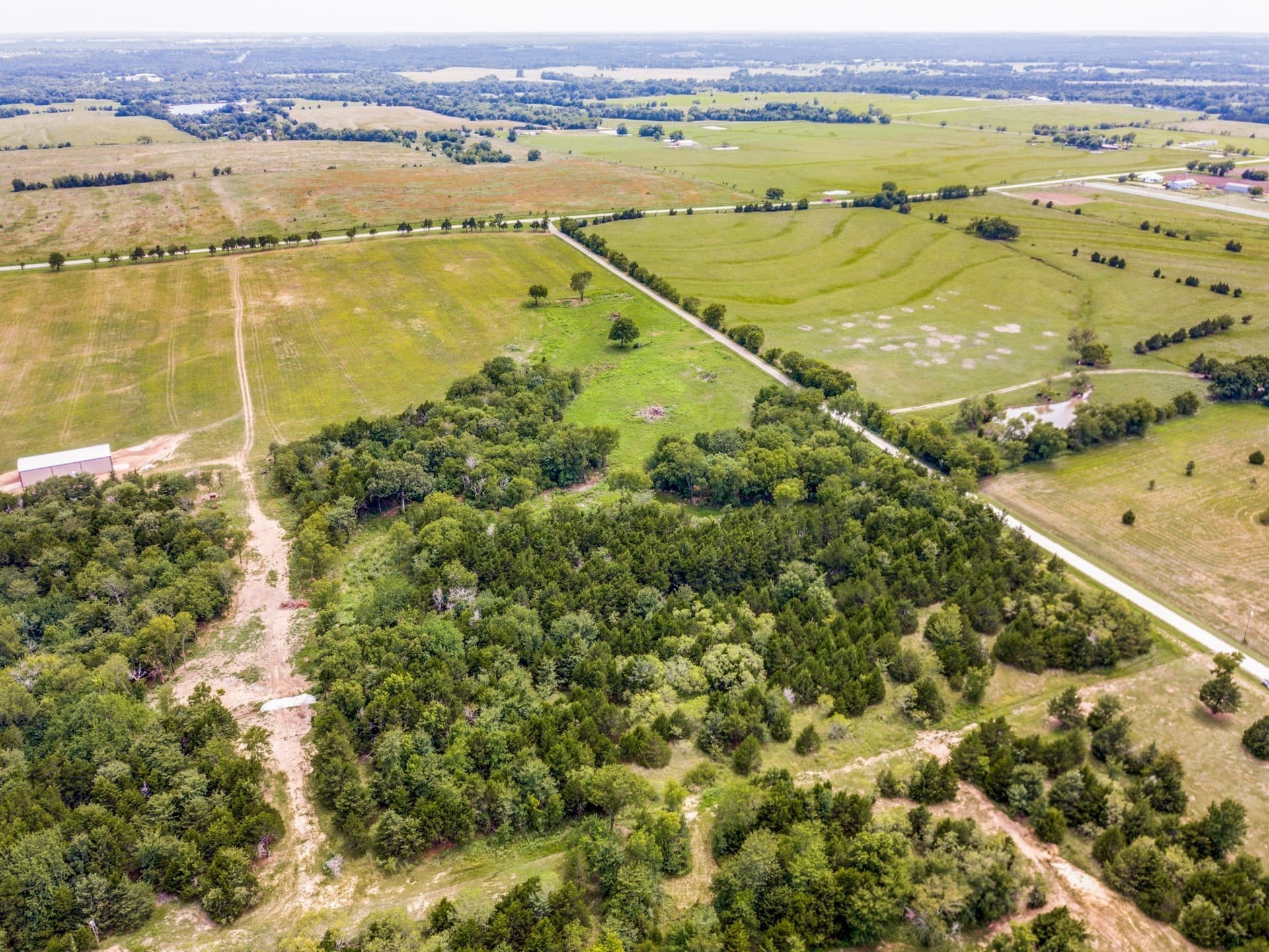 29.23 acres in Grayson County gallery image 4