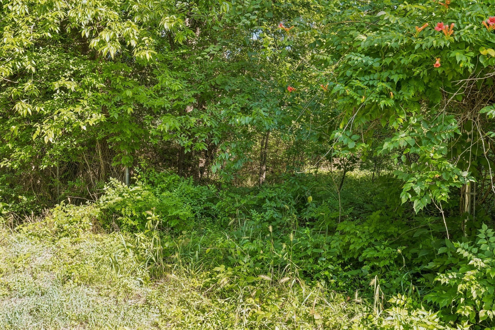 0.1 acres in Tarrant County featured view