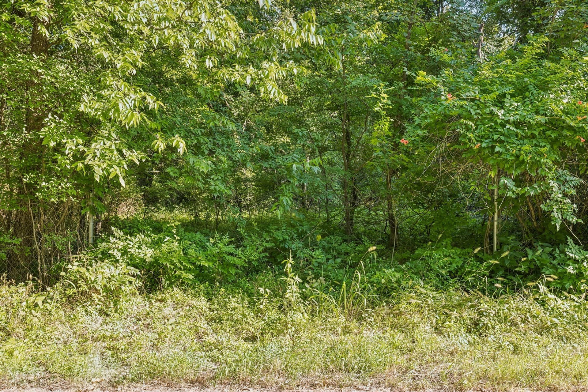 0.1 acres in Tarrant County gallery image 4