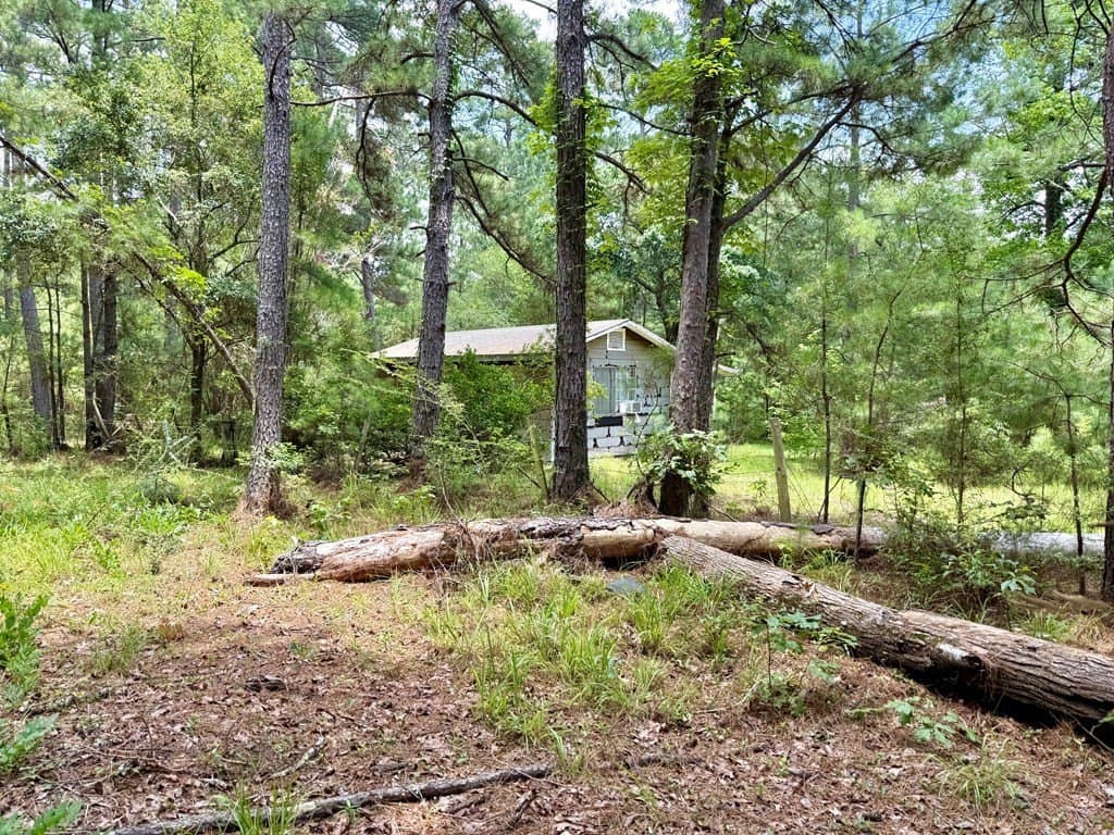 100 acres in Texas County - photo 16