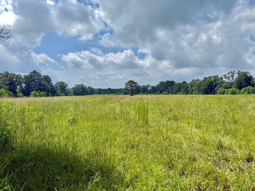 100 acres in Texas County - photo 30
