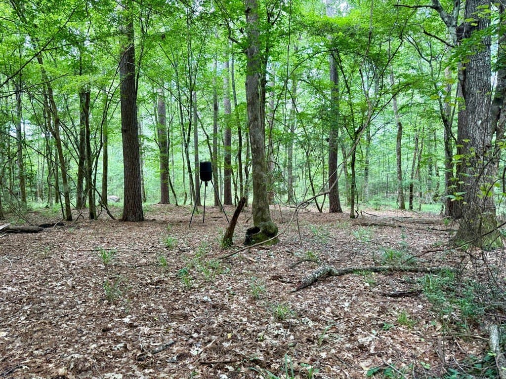 100 acres in Texas County - photo 45