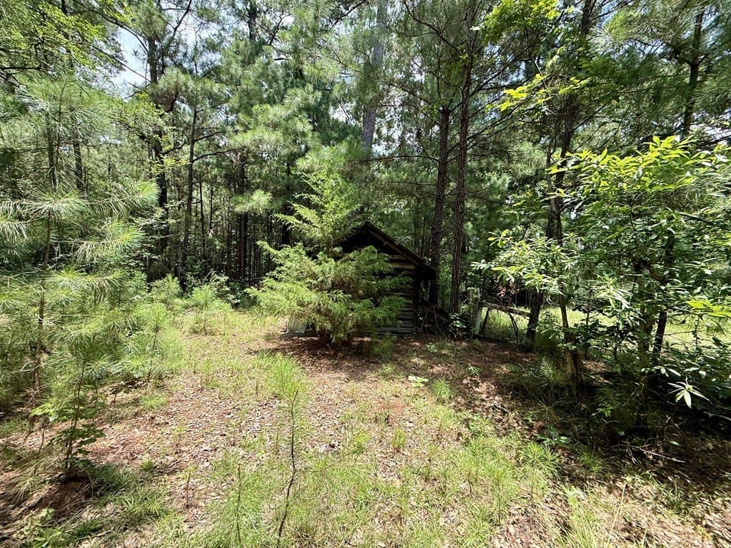 100 acres in Texas County - photo 13