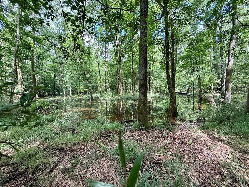 100 acres in Texas County - photo 56