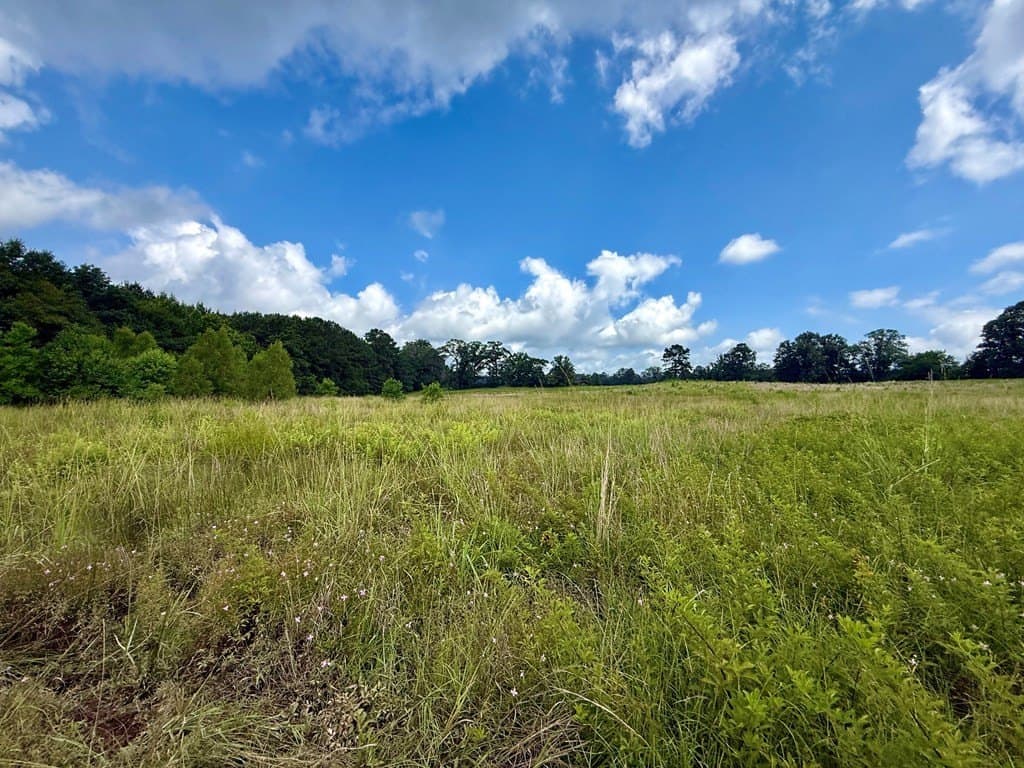 100 acres in Texas County - photo 36