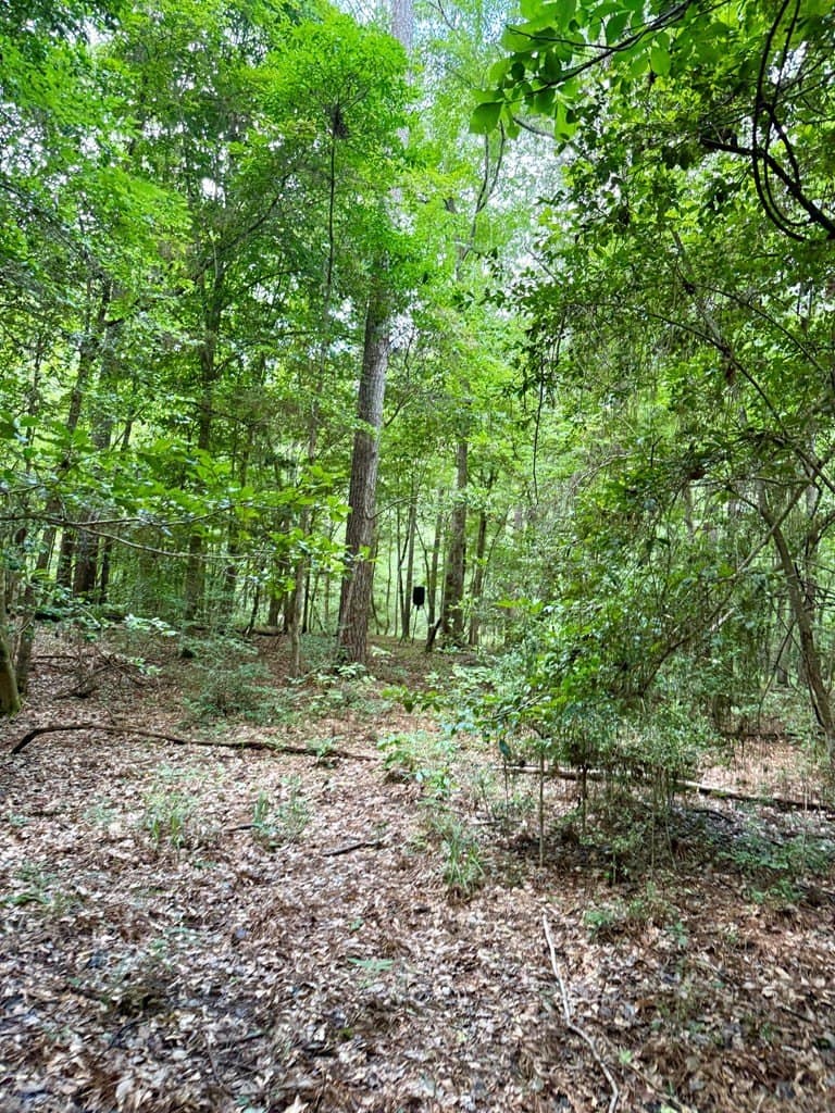 100 acres in Texas County - photo 47