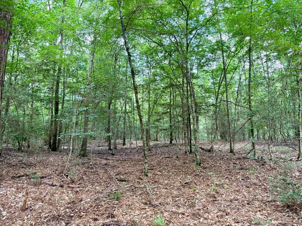 100 acres in Texas County - photo 49