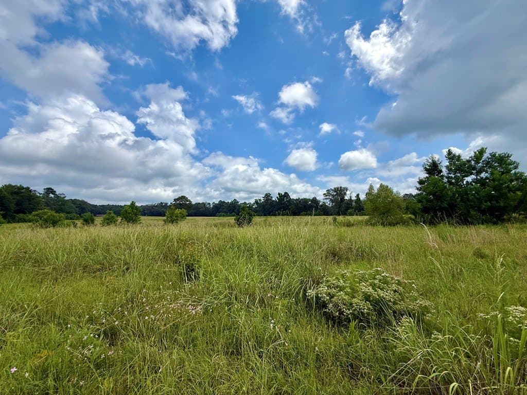 100 acres in Texas County - photo 32