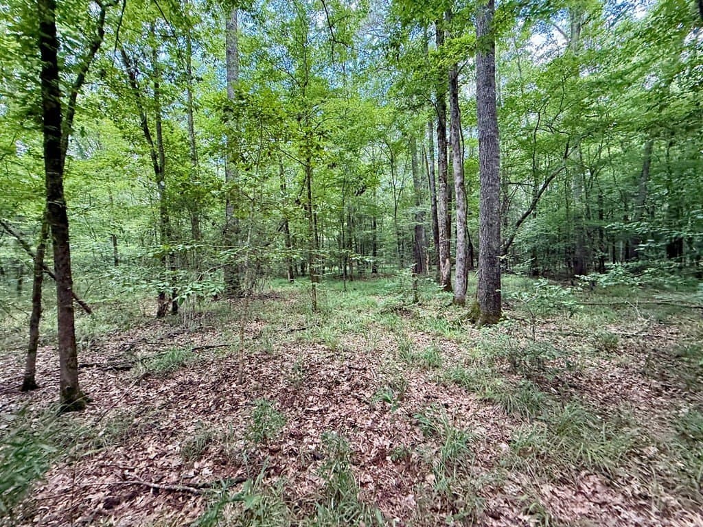 100 acres in Texas County - photo 55