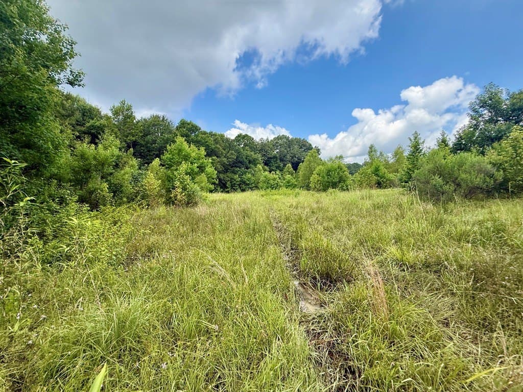 100 acres in Texas County - photo 41