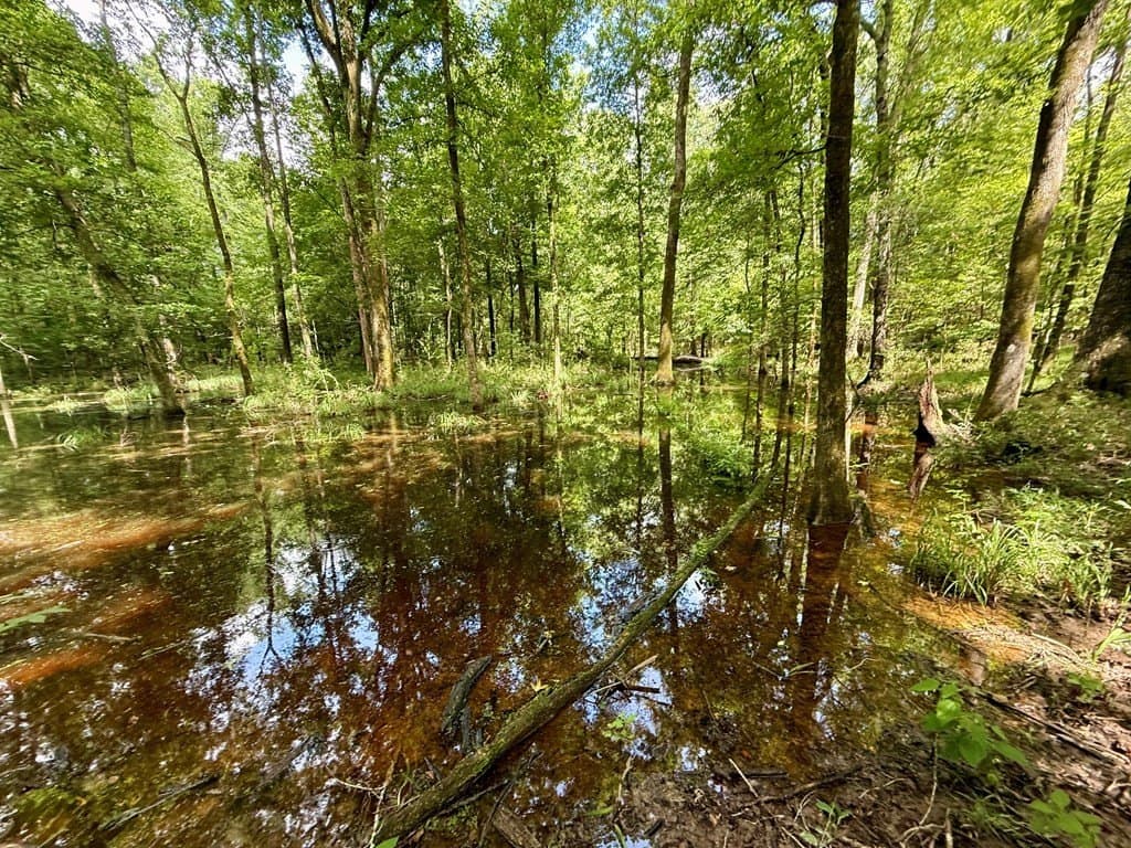 100 acres in Texas County - photo 54