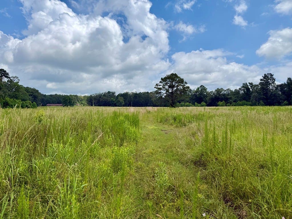 100 acres in Texas County - photo 28