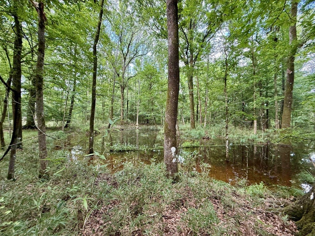 100 acres in Texas County - photo 21