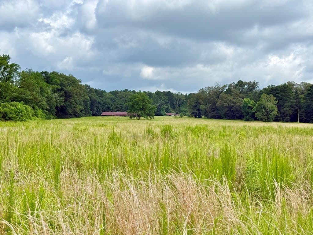 100 acres in Texas County - photo 29