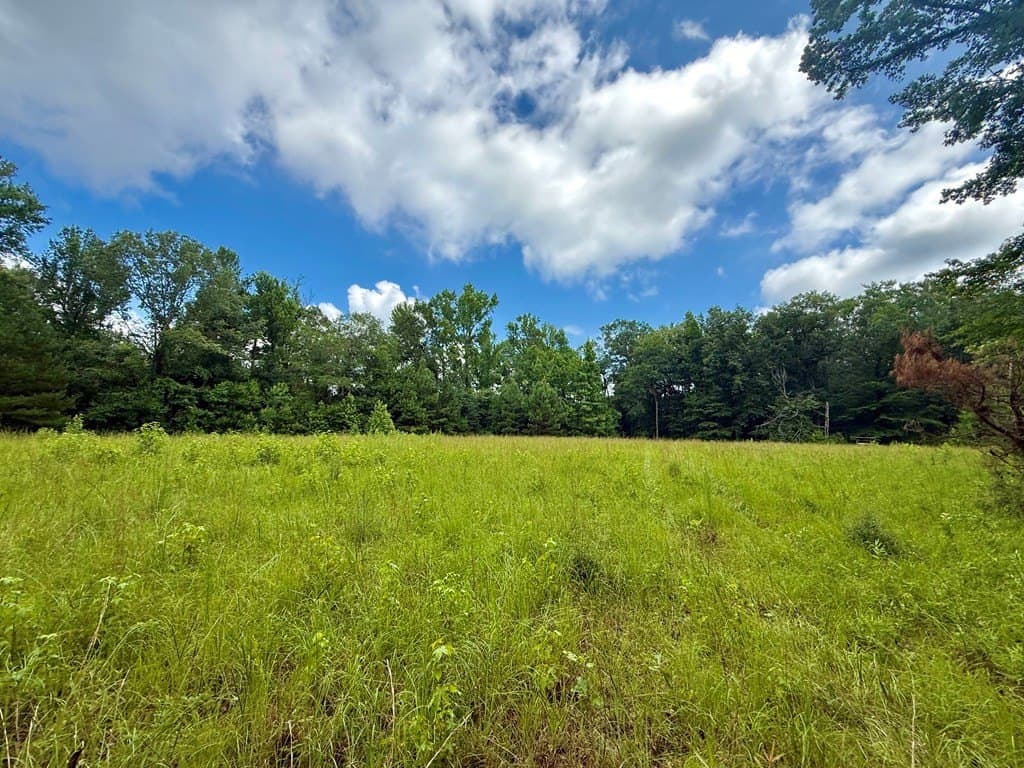 100 acres in Texas County - photo 43